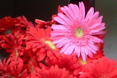 Agile Work Environment