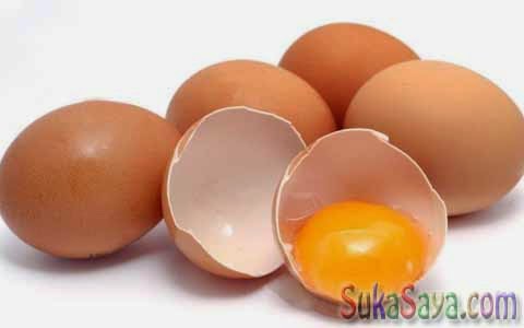 Telur Makanan Yang Cocok Untuk Diet