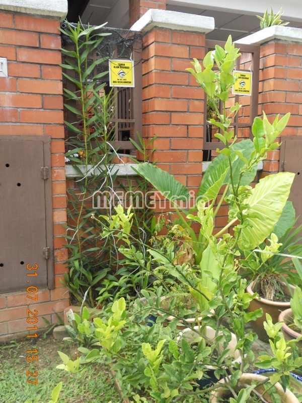 Rumah Orkid Pvc Toko Pedz