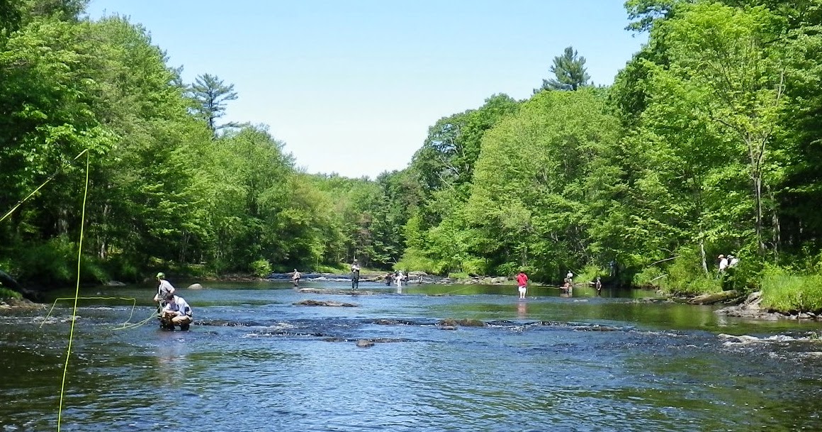 First Cast Fly Fishing New England Fly Fishing Lessons Cocheco River