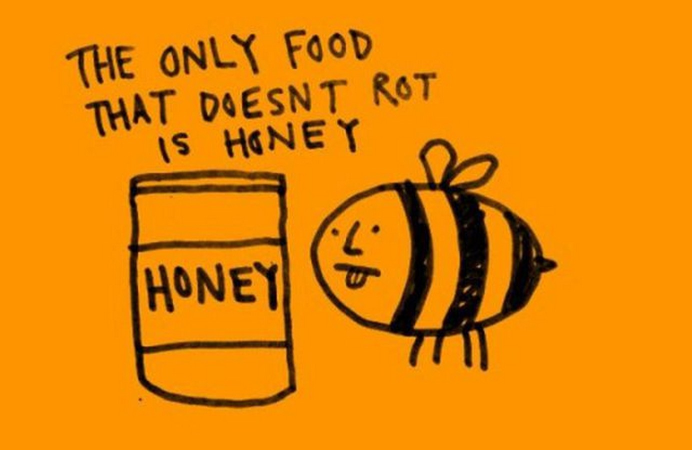 Chuck&rsquo;s Fun Page 2: More fun facts