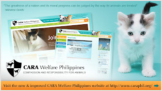 CARA Welfare