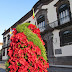 flowers in Funchal City Hall
