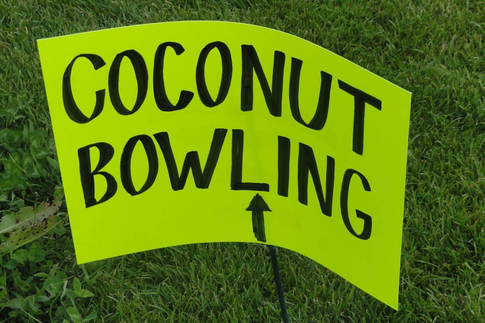 coconut bowling