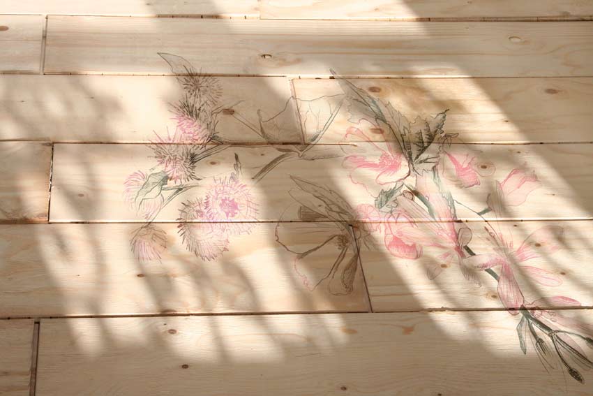 フォトクロミックス