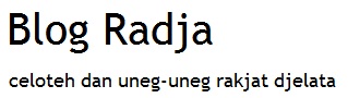 Blog Radja