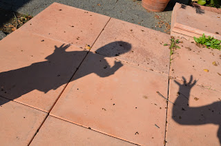 Shadow monster