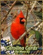 Carolina Cards