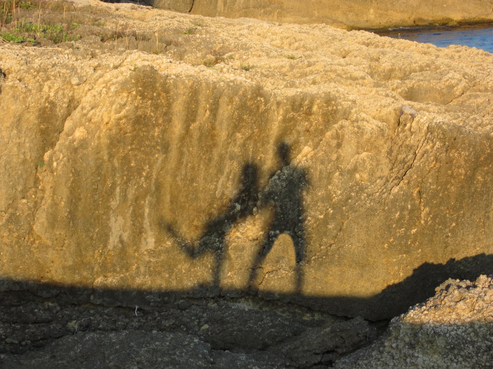 Nudists On Parade Nudists On Parade