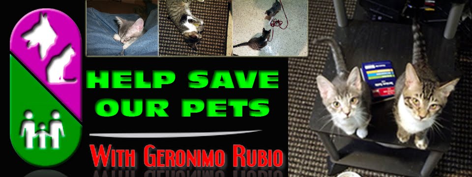 Help Save Our Pets & Wildlife with Geronimo Rubio