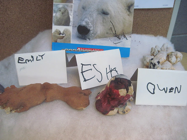 The Wonderful World of Kindergarten: Arctic Animals