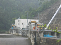 Sipansipahoras Power Plant in Batang Toru Forest Block