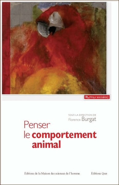 phénoménologie de la rencontre buytendijk