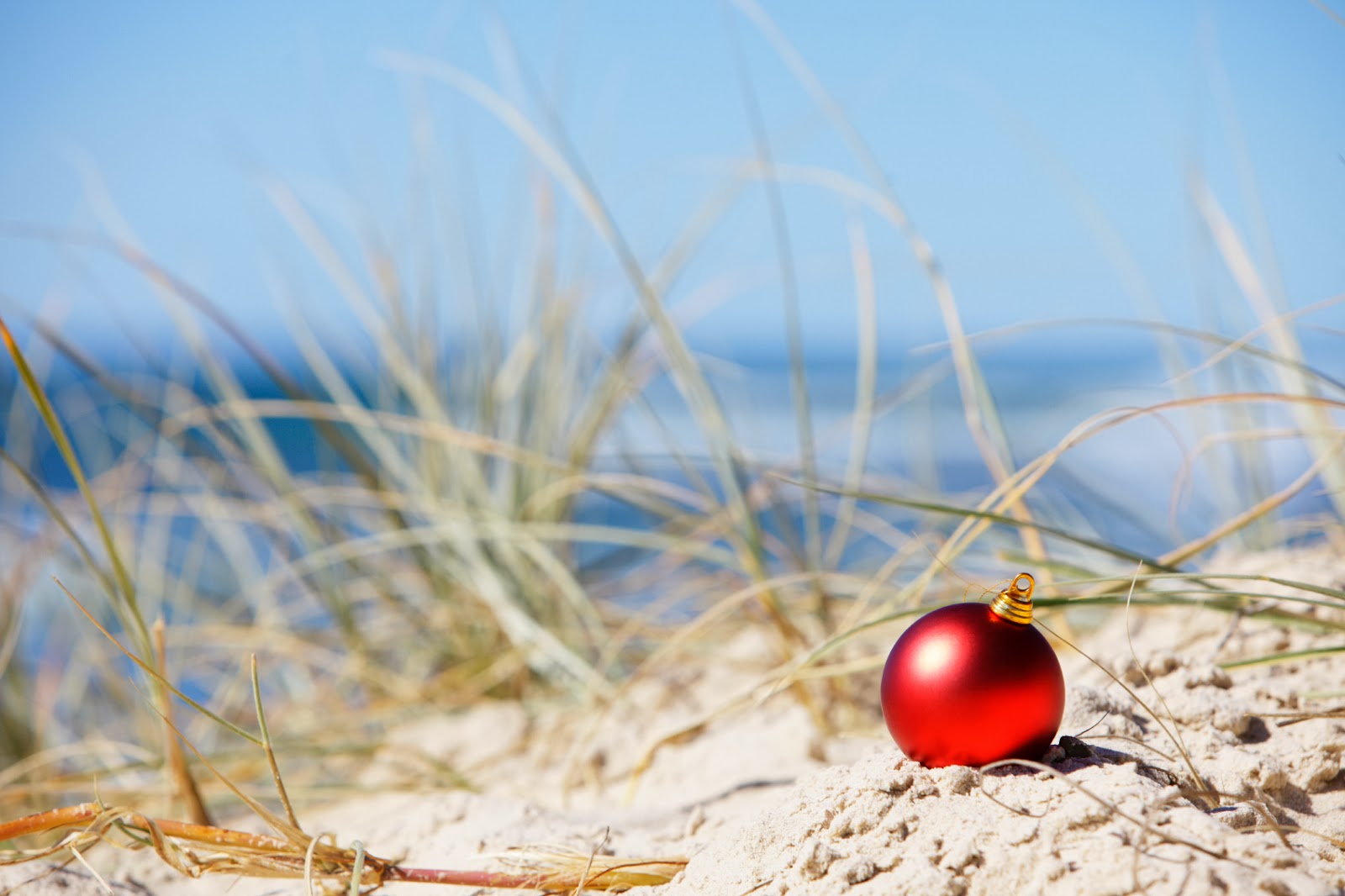 thomas beach vacations what 39 s happening in december on christmas show myrtle beach