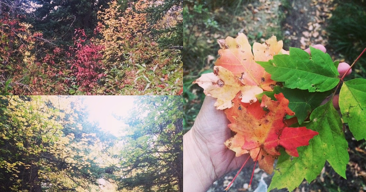 Blue Skies Ahead Fall Leaf Relief Painting