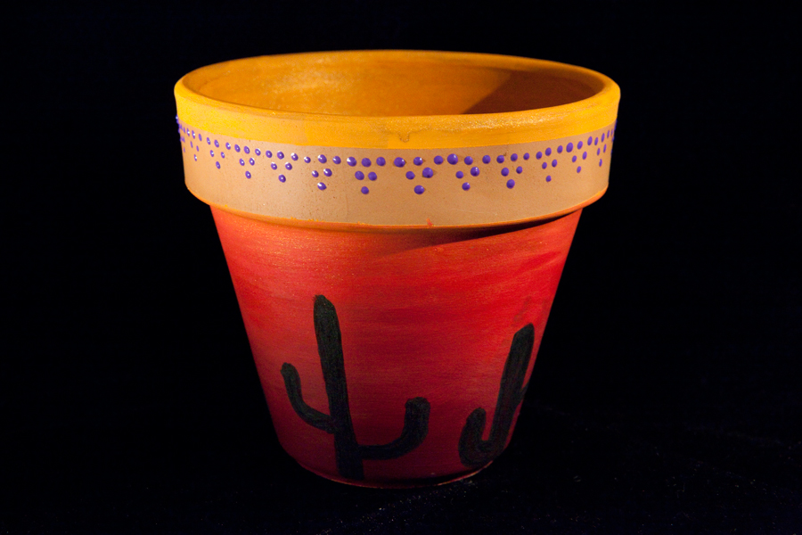 Lauren Petrovic Photography HandPainted Terracotta Pots FOR SALE!!!