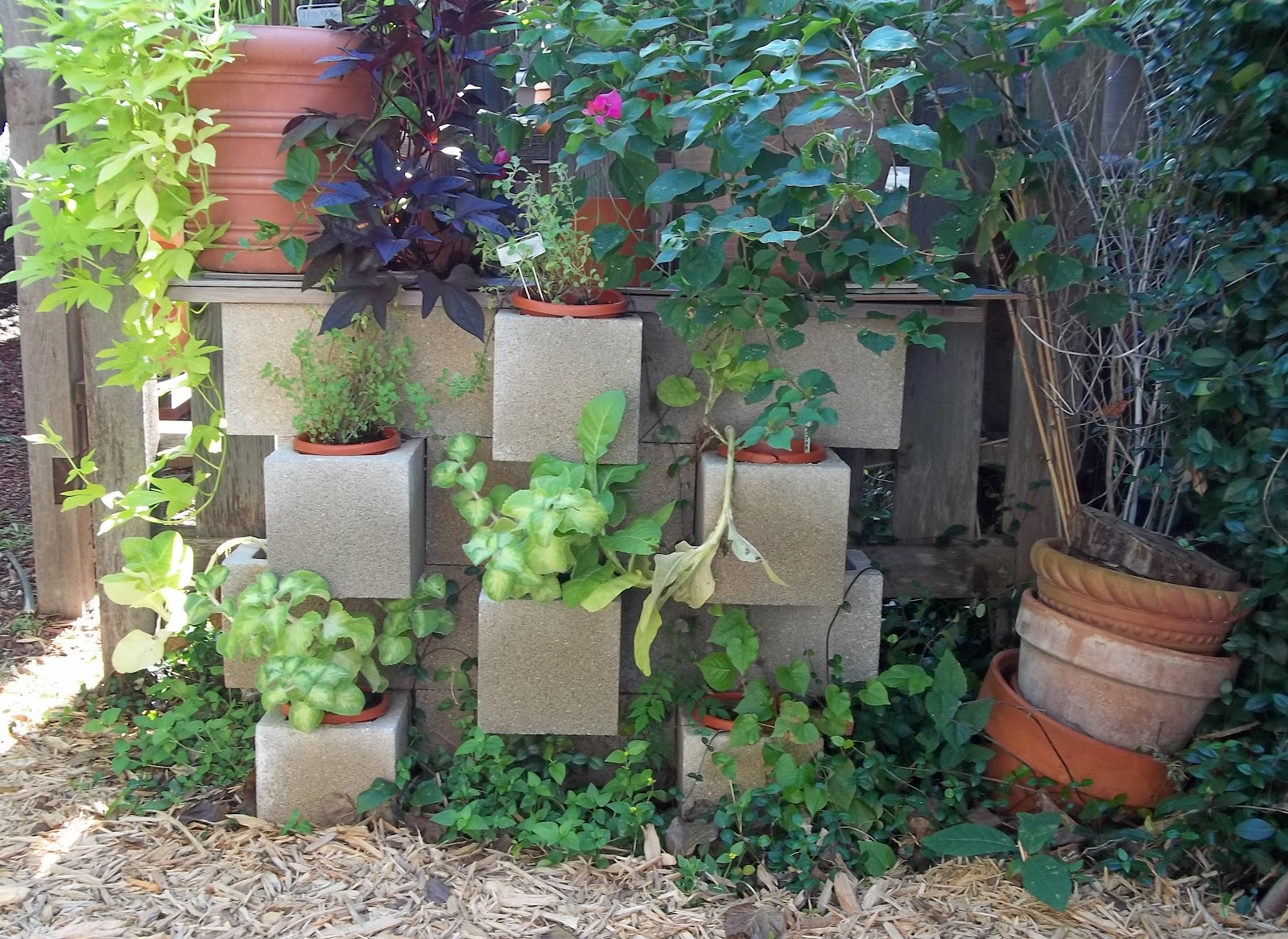 Concrete Pots Plans Simple Home Decoration