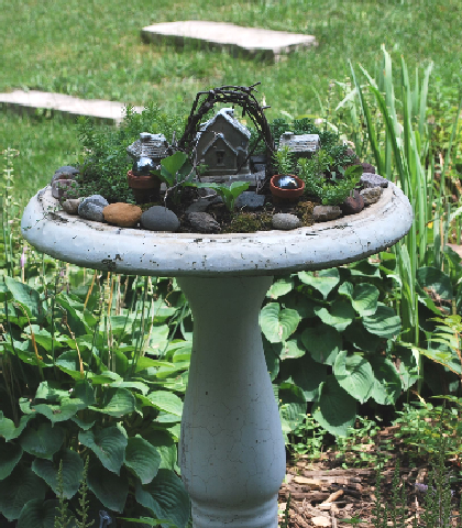 Fairy Garden