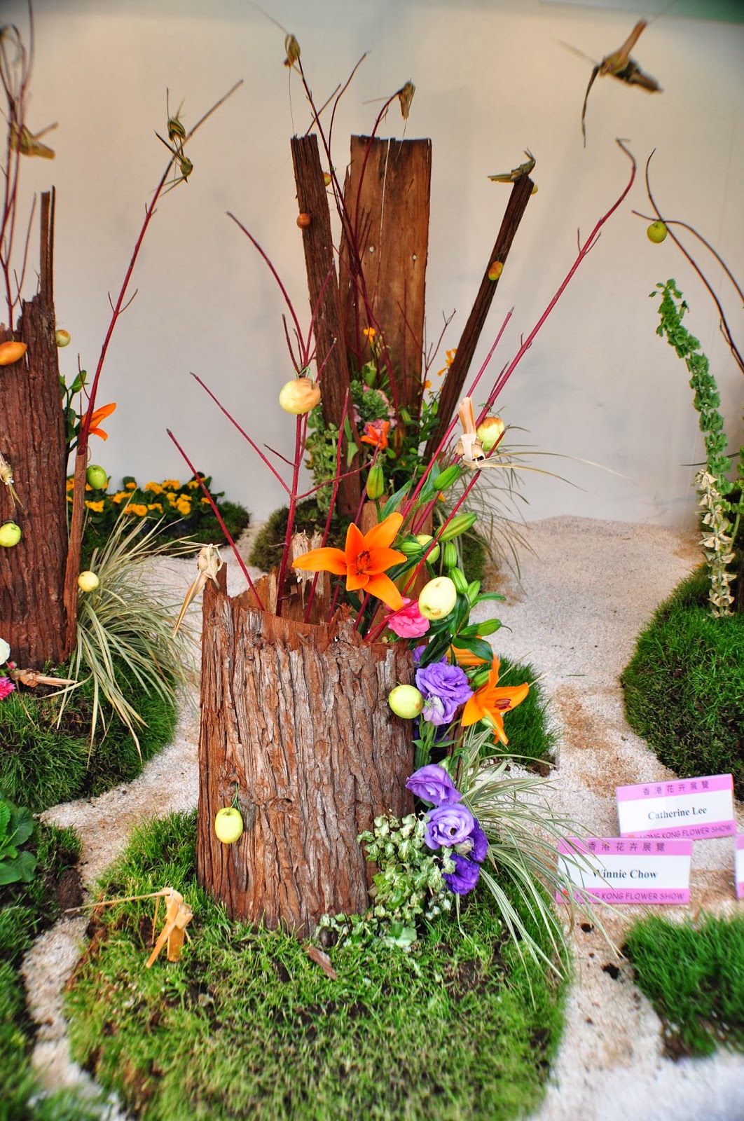 Hong Kong Flower Show 2011 at Victoria Park Hong Kong Trip Day 3