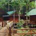 Danum Valley / Maliau Basin Lost World