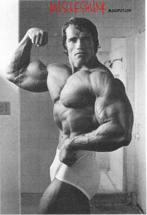 Arnold+Schwarzenegger-Bodybuilding+Legen