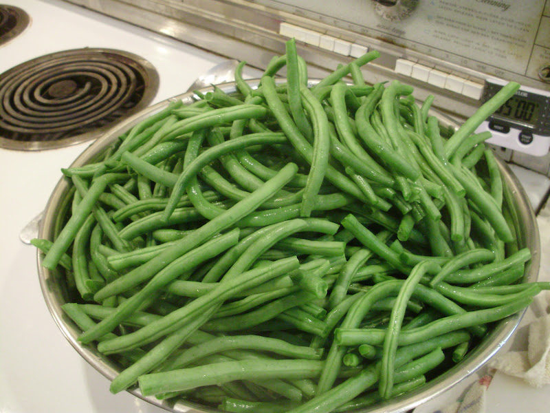 Ohiofarmgirl's Adventures In The Good Land Canning Green Beans