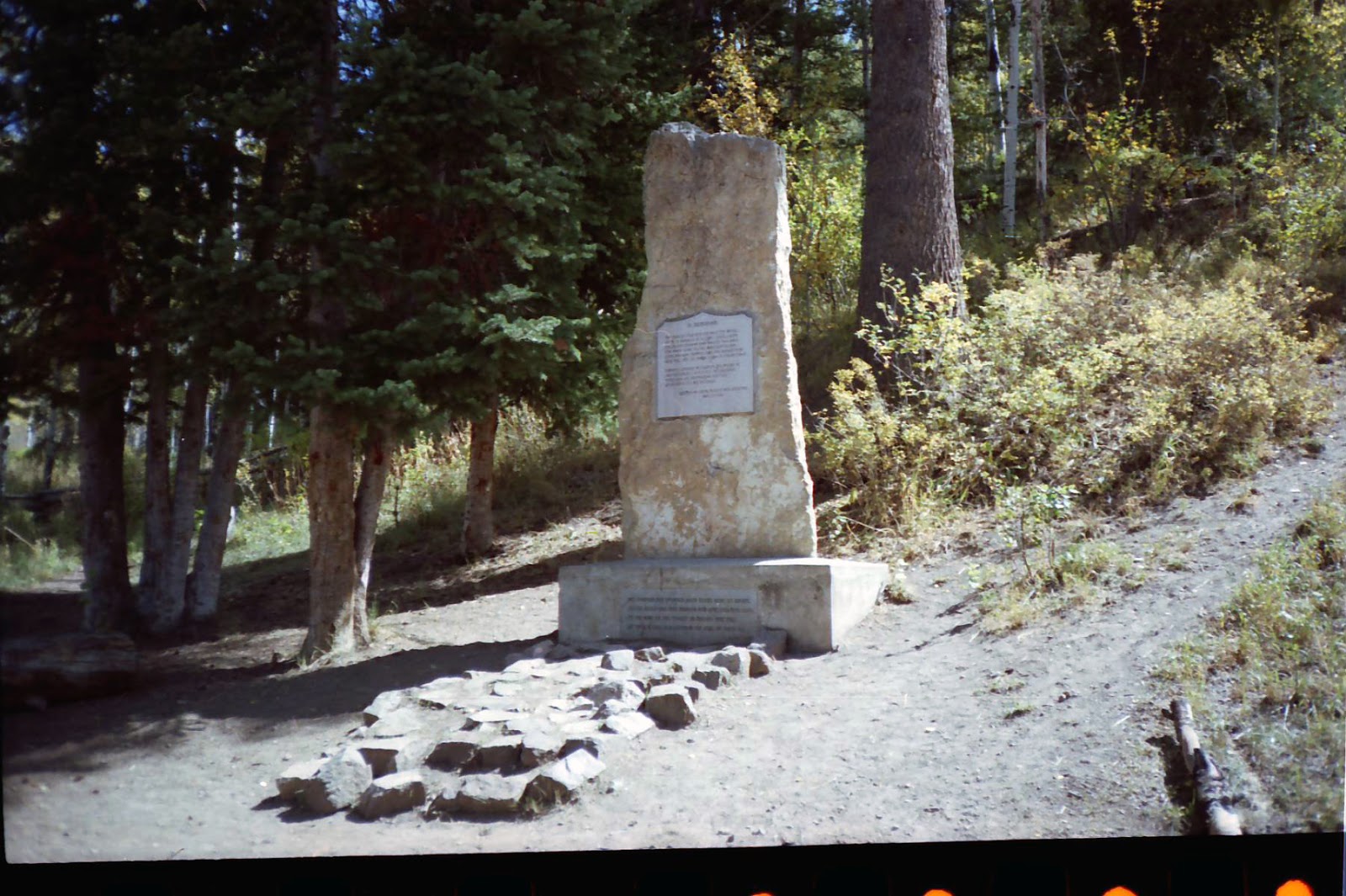 The Mystery Of Utah History Old Ephraim Utah’s most legendary bear