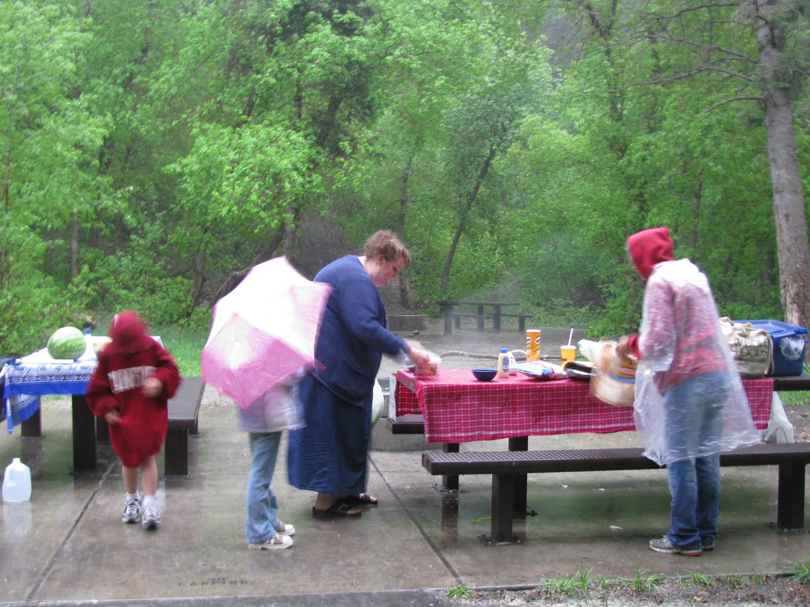 Cathedrals and Crocodiles June 2011