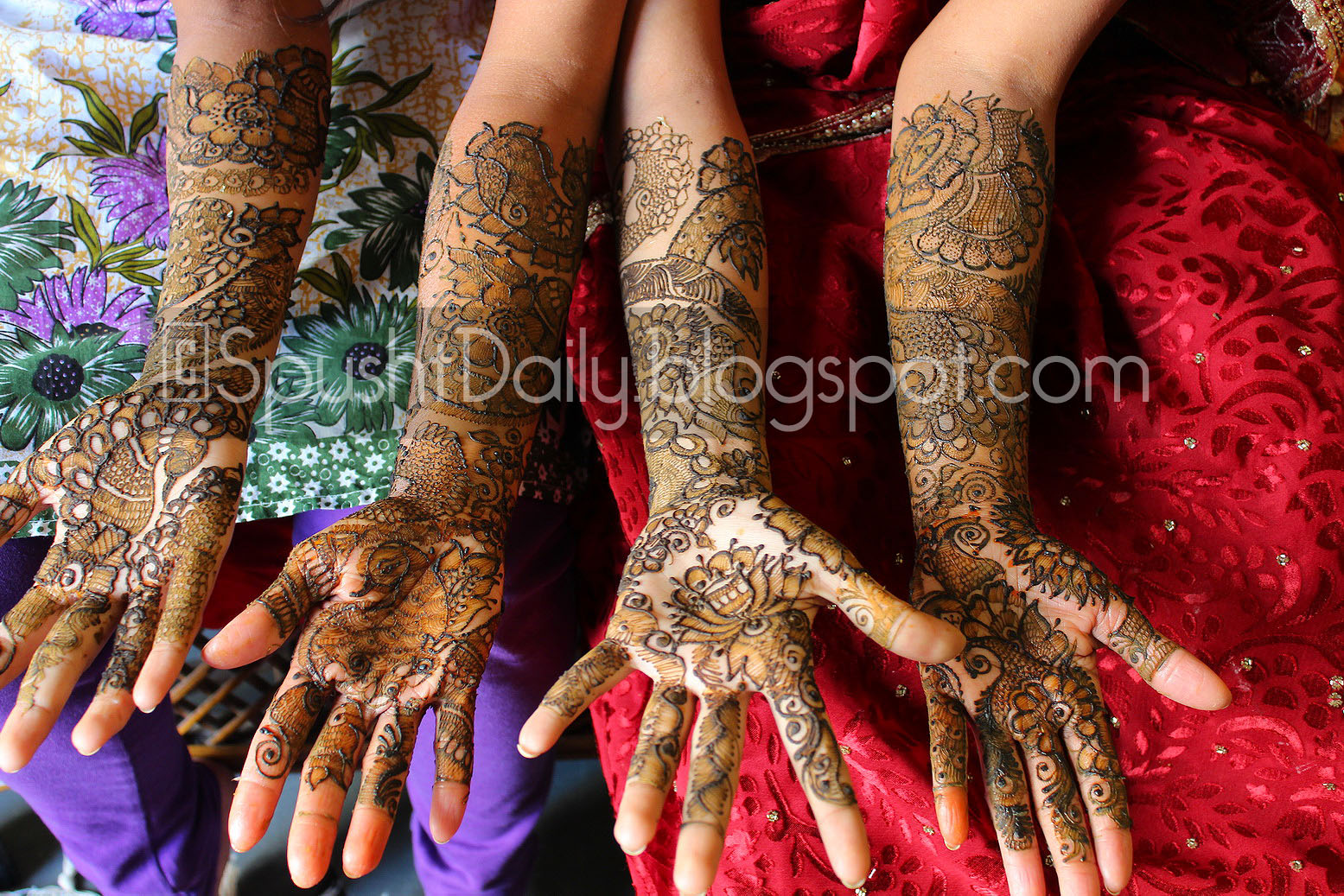 Spusht Chats India Trip Day 50 Wedding Mehendi Spusht Chats India Trip Day 50 Wedding Mehendi