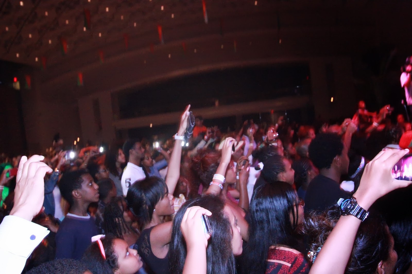 Statement on 40th Anniversary of Eritrean Festival in Bologna Madote