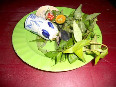 hot-vit-lon.jpg