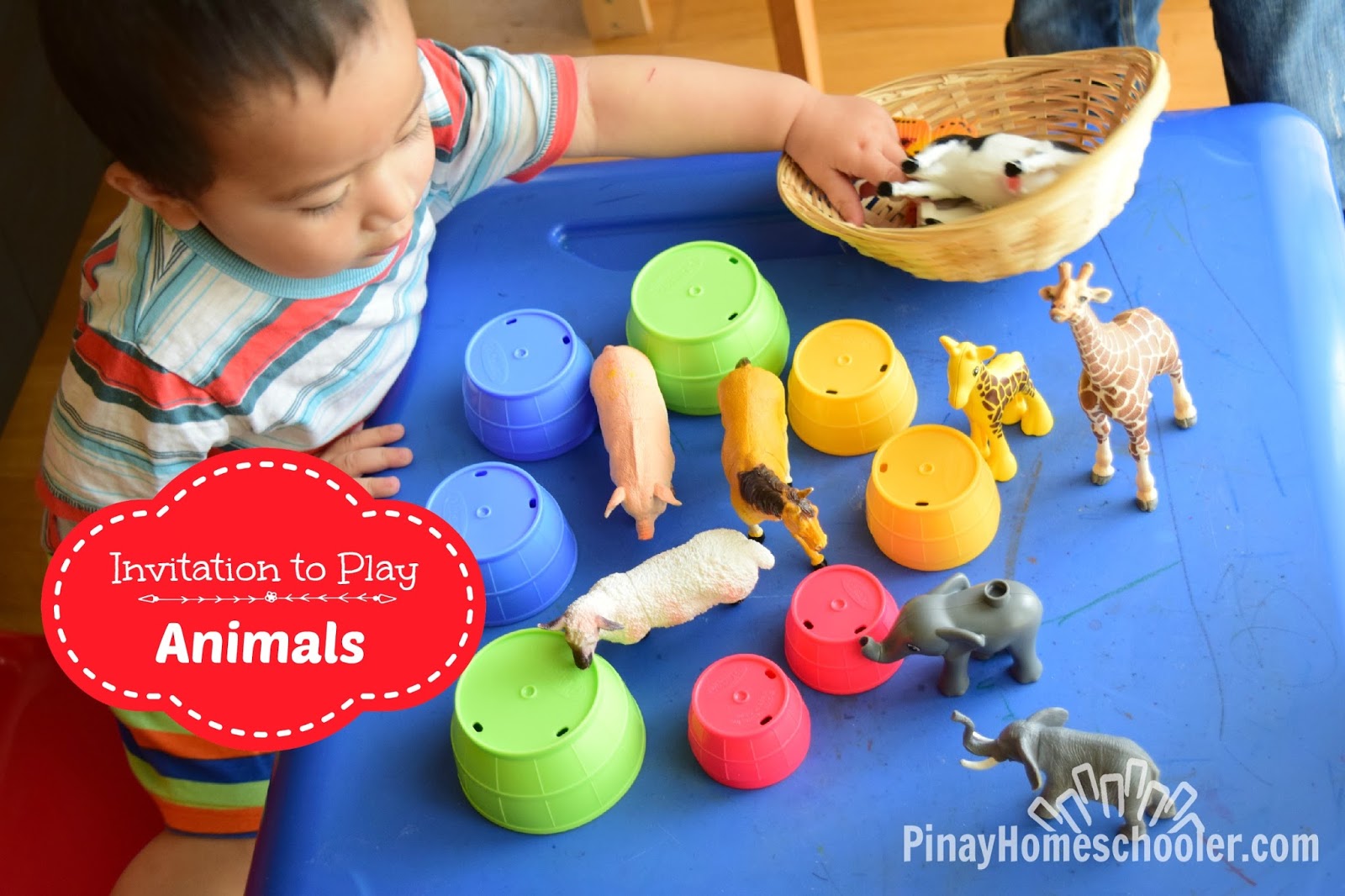 Teaching Animals to Toddlers