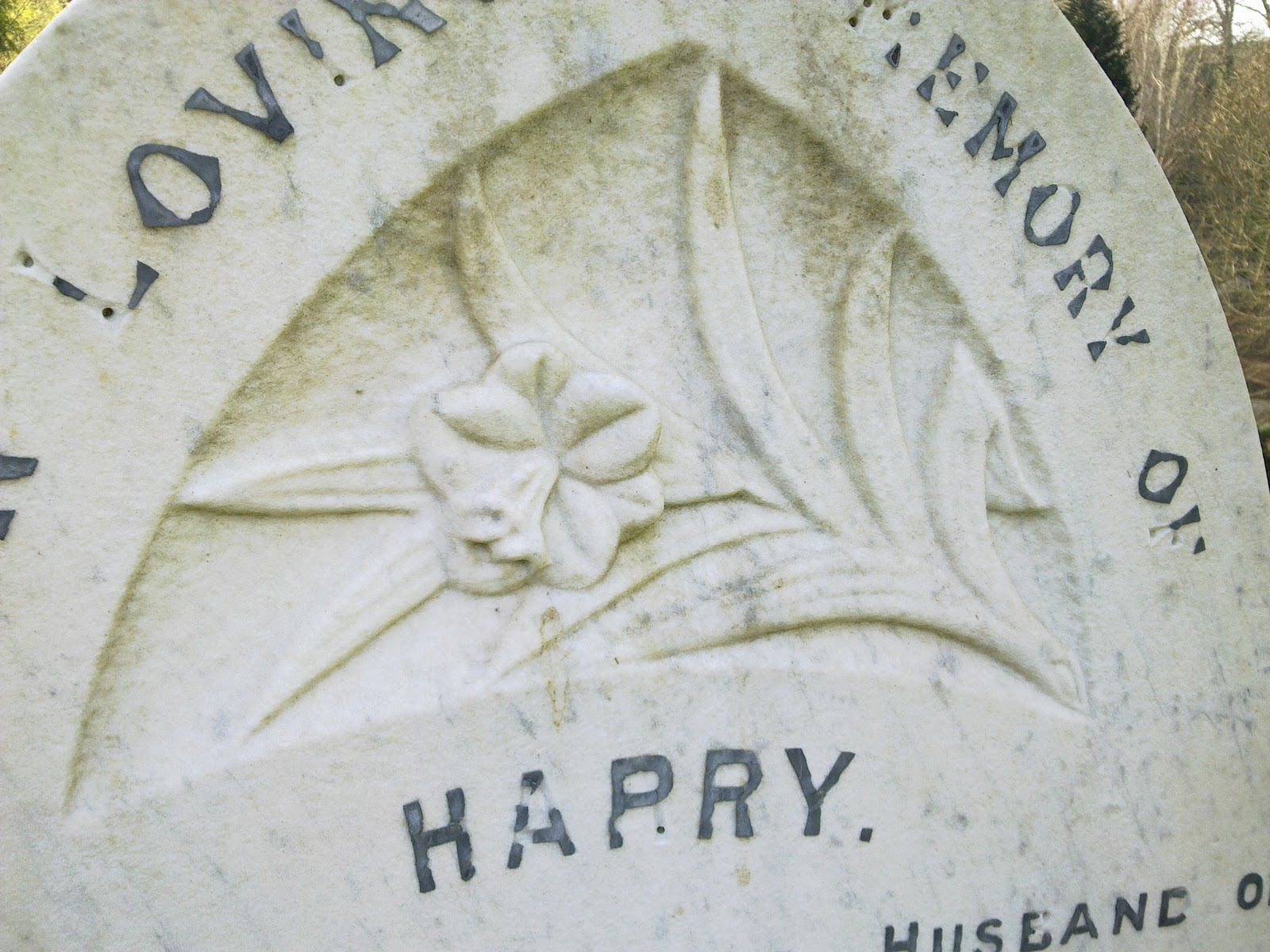 rencontre extraterrestre sims 2