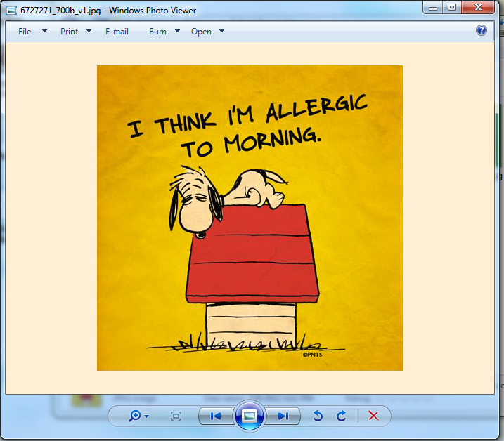 Windows Photo Viewer Yellow 2020 Peatix