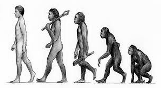 Raba Informasi Pengertian Manusia Purba