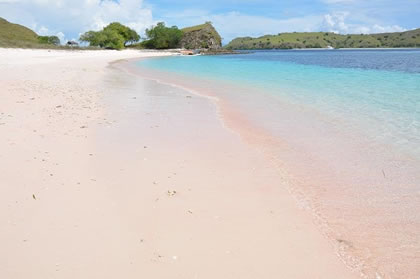 kaskus-forum.blogspot.com - WAW!!!! Pulau Komodo NTT:Indahnya Pantai Pink
