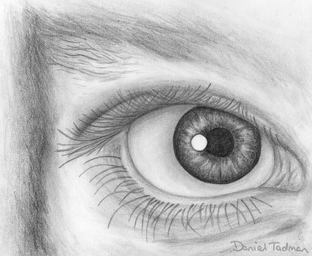 Dantadman Photo Realistic Eye
