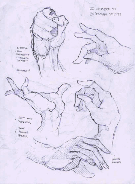 Anatomy+-+0033.jpg