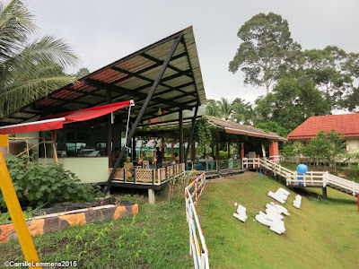 Sheep and hydroponics farm in Maenam