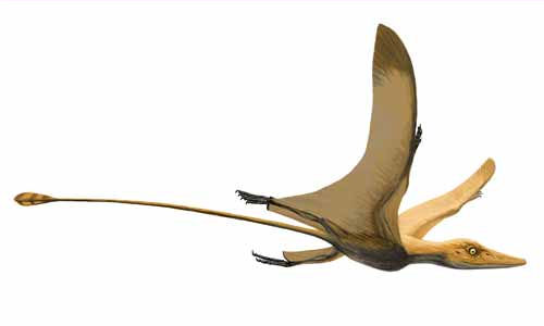 Pterosauria