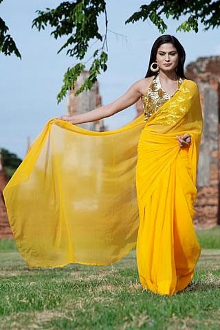 Veena malik in yellow saree HD photo wallpaper Veena malik in yellow saree HD photo wallpaper