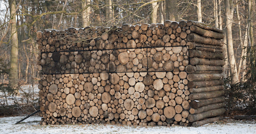 It Might Look Like A Normal Stack Of Firewood But When You Step Closer