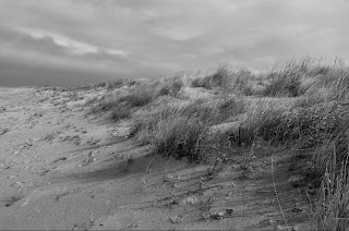 Beach on overcast day