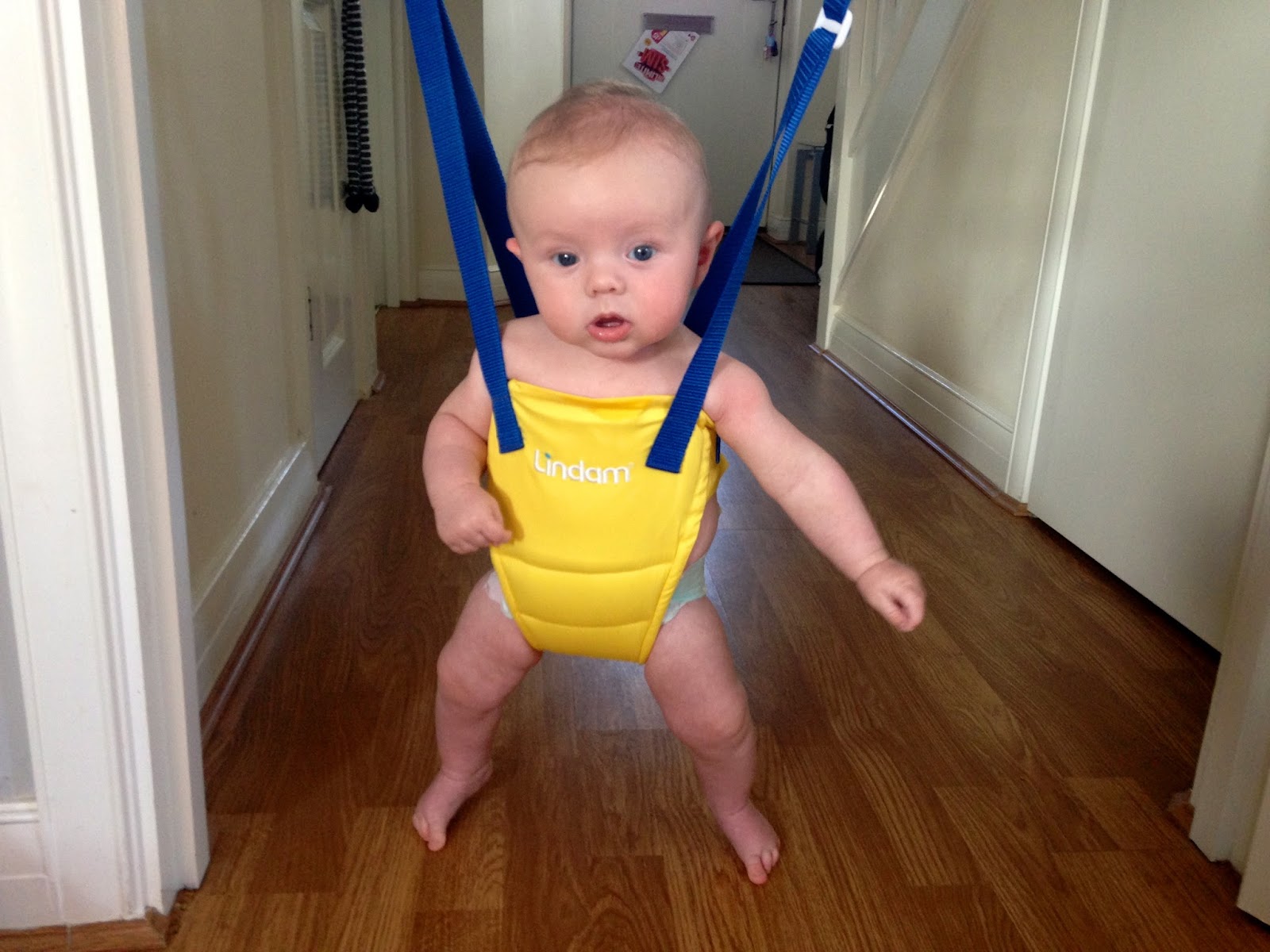 baby bounce bouncer