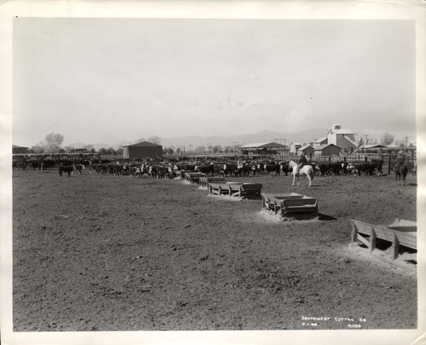 A People's Guide to Maricopa County Goodyear Tire and Rubber Company