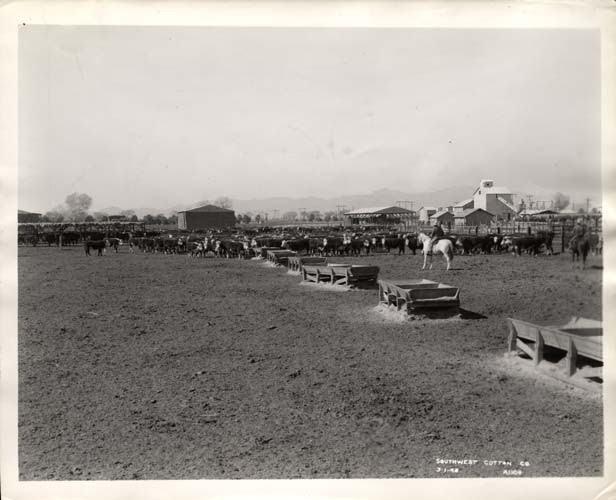 A People's Guide to Maricopa County Goodyear Tire and Rubber Company