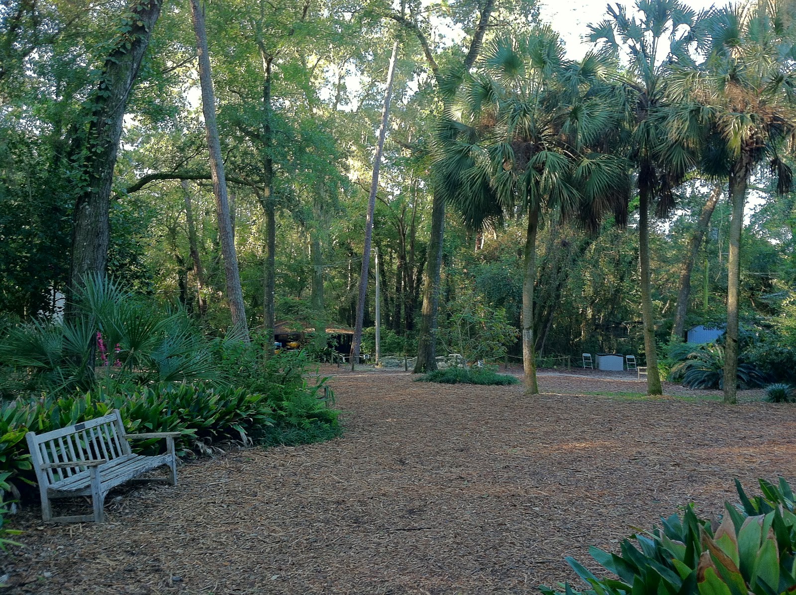 The TreetoTree Adventure at Tallahassee Museum The World of Deej
