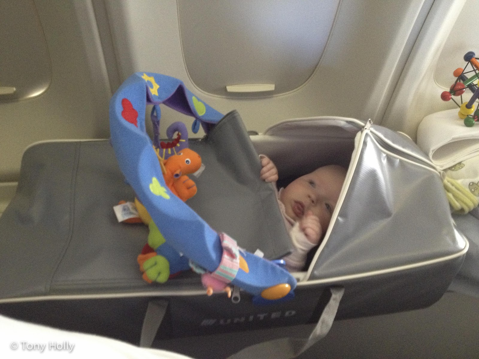 fixed bassinets united