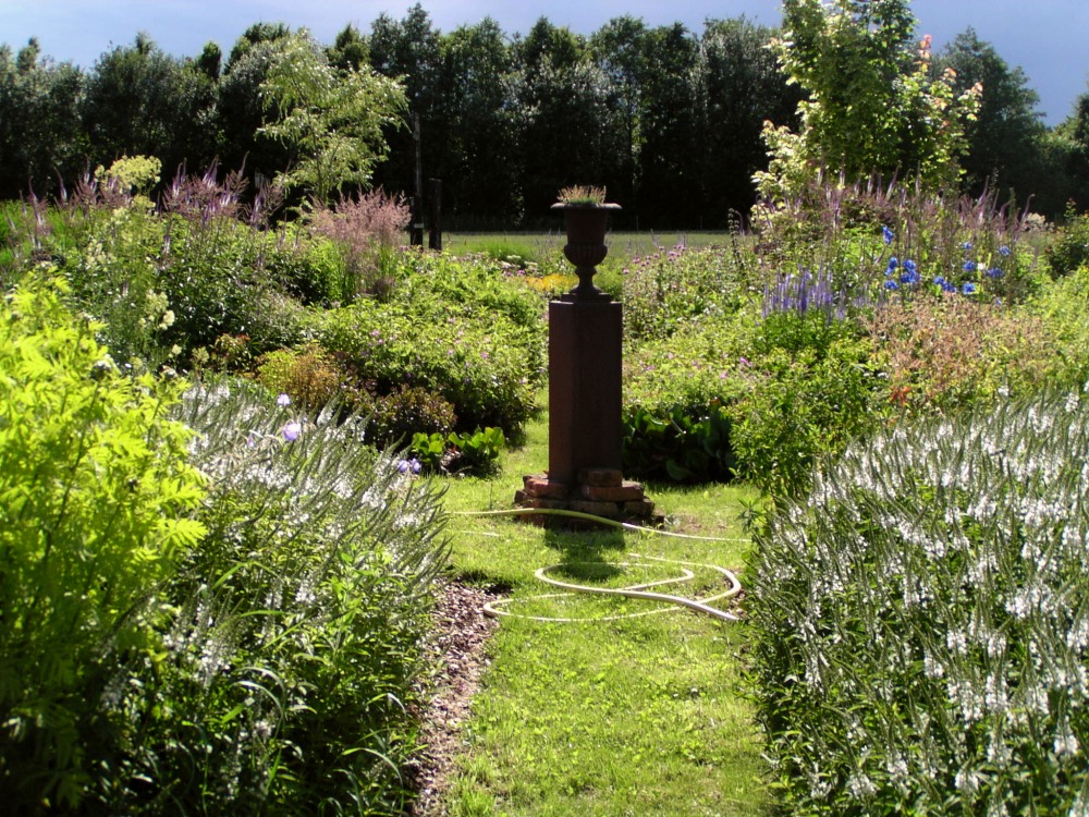 Storchschnabel Und Andere Stauden Gartnerei Sarastro