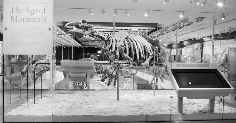 Los Angeles County Museum Of Natural History Contributions In Science Los Angeles County Museum Of Natural History Contributions In Science